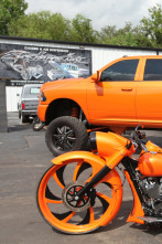 Imagen de Texas Metal (T1): Bajo y potente - 4