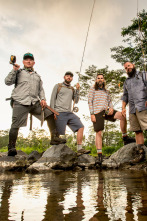 Fish or Die: El ojo del pez tigre