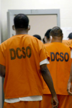 Imagen de El sistema penal de...: Nuevos niveles, nuevos demonios - 4