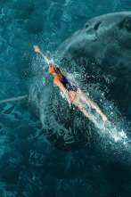 Imagen de Surviving Jaws - 6