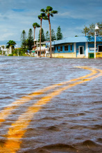 Imagen de En el ojo de la tormenta: Pesadilla antes de Navidad - 4