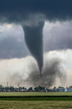Imagen de En el ojo de la tormenta: Torrente de tornados 2025 - 4