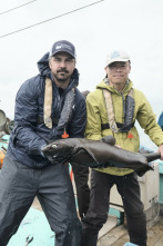 Imagen de Jurassic Sharks - 2