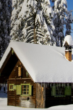 Imagen de Lo que no debe ser: Un techo sobre tu cabeza - 4