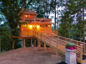 Imagen de Mi casa en un árbol (T7) - 3
