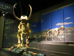 Imagen de Misterios en el museo: Colisión cósmica - 3