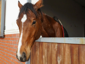 Imagen de ¿Cómo lo hacen?: Ep.4 - 4