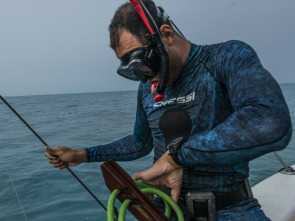Imagen de El puente de los tiburones - 4