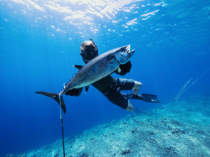 Imagen de Tiburones caminantes con Forrest Galante - 4