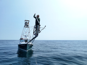 Imagen de Pesca con arpón: Atún rojo - 3