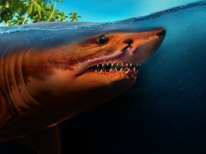 Imagen de Tiburones: muerte en el paraíso - 5