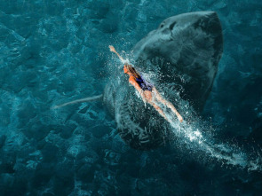 Imagen de Surviving Jaws - 5