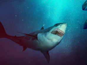 Imagen de El ataque del tiburón diablo - 3