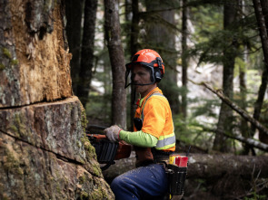 Imagen de Los últimos... (T2): El rey de la costa - 3
