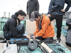 Imagen de Jurassic Sharks - 1