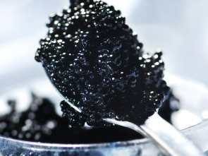 Así se hace - Caviar de algas
