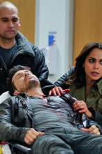 Imagen de Chicago Fire (T1): Ep.15 Nazdarovya! - 2