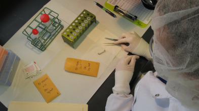 Imagen de Yo fui asesinado: Ep.3 - 3