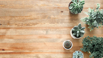 Imagen de Los gemelos... (T6): Ep.8 - 3