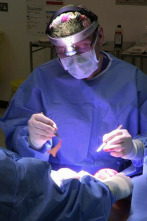 Imagen de Desastres estéticos (T5): Ep.1 - 2