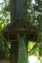 Imagen de Supercasas para... (T1): Castillo para gatos - 2