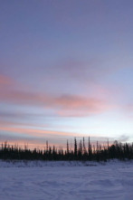 Imagen de Alaska paranormal (T1): Fiebre en la cabina - 2