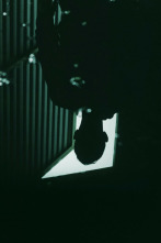 Imagen de Cómo reconocer a... (T9): Ep.9  - 2