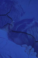 Imagen de The Night That... (T2): Ep.1 My Name Is Denise - 2