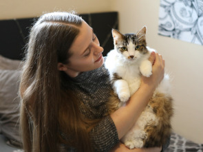 Imagen de El encantador de gatos (T9) - 1