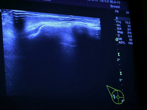 Imagen de Desastres estéticos (T4): Ep.1 - 1