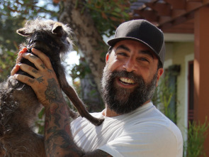 Imagen de Supercasas para... (T2): Un palacio para los cerditos vietnamitas - 1