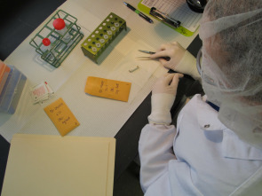 Imagen de Yo fui asesinado: Ep.2 - 1