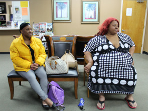 Imagen de Mi vida con 300... (T9): El viaje de James B - 1