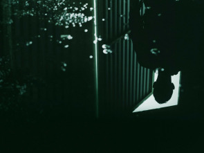 Imagen de Cómo reconocer a... (T9): Ep.4  - 1