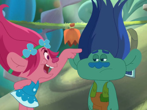 Imagen de Trolls: ¡No... (T4): El inventazo/Un sueño engañoso - 1