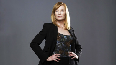 Imagen de C.S.I.: Las Vegas (T12): Ep.19 Decisiones divididas - 3