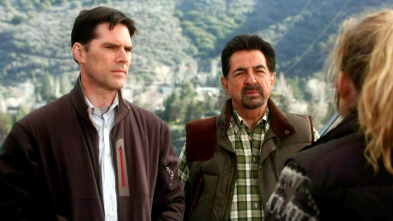 Mentes criminales (T5): Ep.11 Represalia