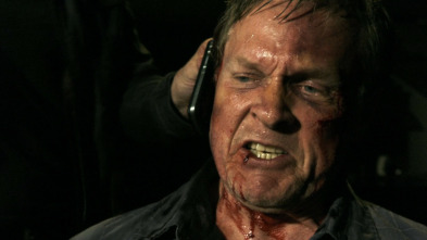 Imagen de Hawai 5.0 (T1): Ep.12 Hana 'a'a Makehewa (Medidas desesperadas) - 3