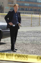 Imagen de C.S.I.: Miami (T10): Ep.14 La gota que colma el vaso - 2