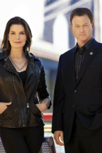 Imagen de C.S.I. NY (T9): Ep.8 Últimas admisiones - 2