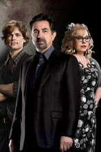 Imagen de Mentes criminales (T14): Ep.12 Hamelin - 2
