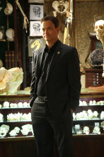 Imagen de C.S.I. NY (T4): Ep.14 Jugando con fuego - 2