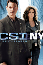 C.S.I. Nueva York (T6)