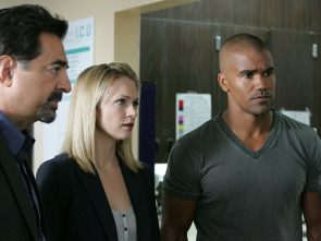 Mentes criminales (T5): Ep.15 Enemigo público