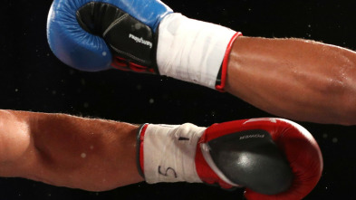 Imagen de Artes marciales mixtas - 4