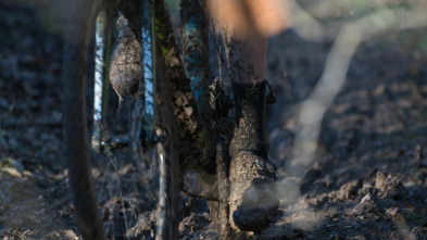 Imagen de Ciclocross de... (2026): Carrera F - 3