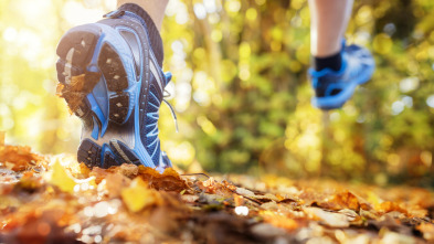 Imagen de Golden Trail... (2026): Quebec - 4