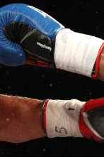 Imagen de Dana White's... (2025): 29/08/2025 - 2