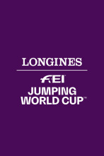 Imagen de Copa del mundo de... (25/26): Lyon - 3