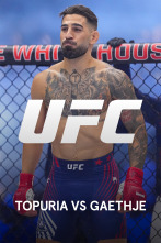 Imagen de UFC Freedom 250 (2026) - 4